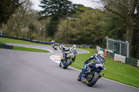 Middle Group Blue Bikes
